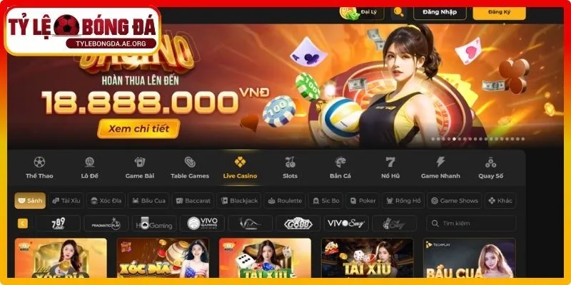 Trải nghiệm Casino trực tuyến
