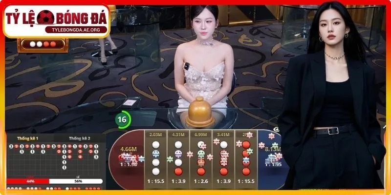 Nhận xét thực tế từ người chơi