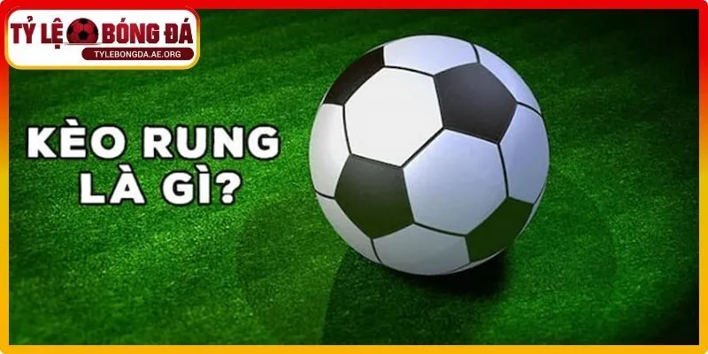Tổng quan khái niệm kèo rung