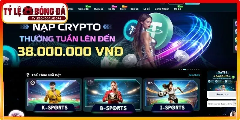 Khái quát về nhà cái Say88