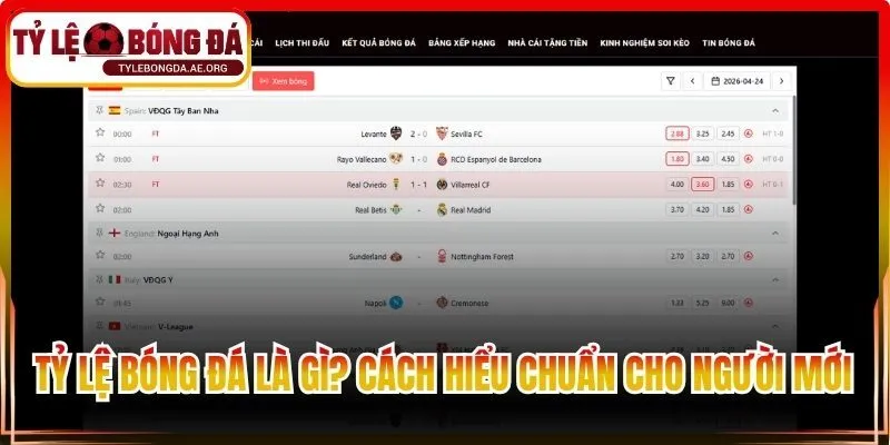 Tỷ lệ bóng đá là gì? Cách hiểu chuẩn cho người mới